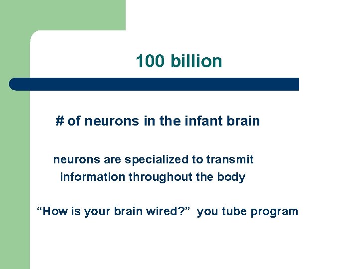 100 billion # of neurons in the infant brain neurons are specialized to 100 billion # of neurons in the infant brain neurons are specialized to