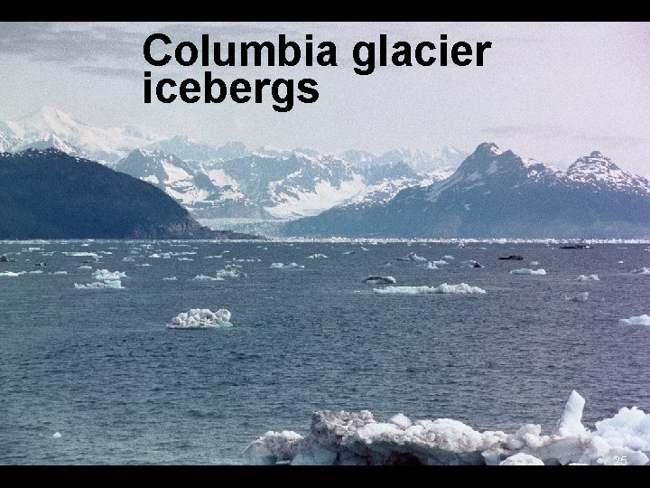 Columbia glacier icebergs 25 Columbia glacier icebergs 25