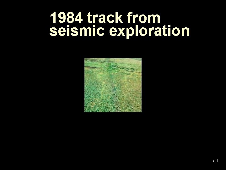 1984 track from seismic exploration 50 1984 track from seismic exploration 50