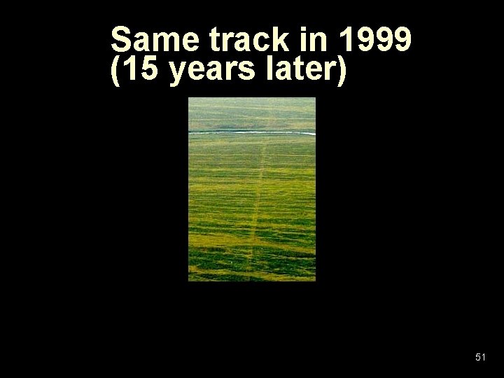 Same track in 1999 (15 years later) 51 Same track in 1999 (15 years later) 51