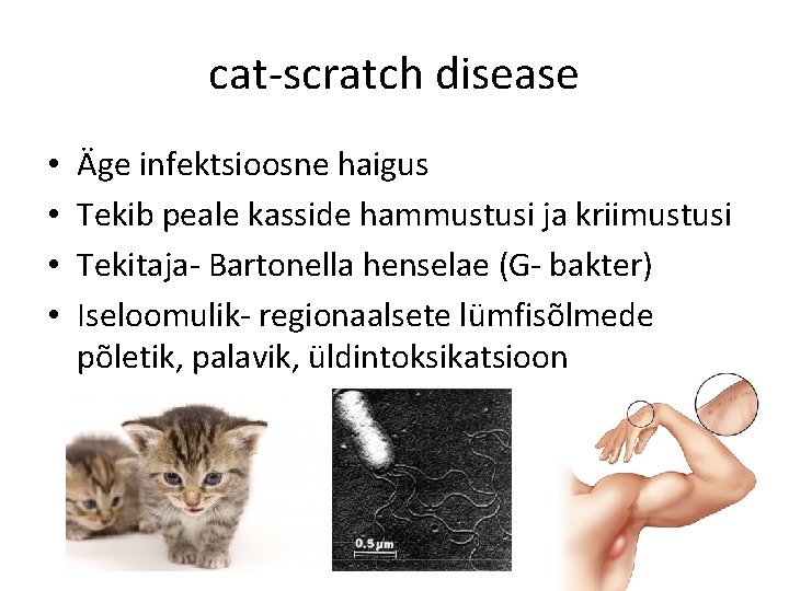 cat-scratch disease • • Äge infektsioosne haigus Tekib peale kasside hammustusi ja kriimustusi Tekitaja-