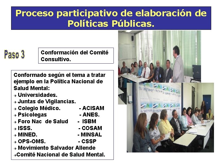 Proceso participativo de elaboración de Políticas Públicas. Conformación del Comité Consultivo. Conformado según el