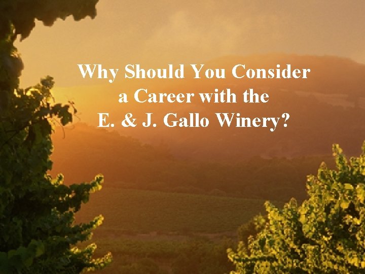 Why Should You Consider a Career with the E. & J. Gallo Winery? 