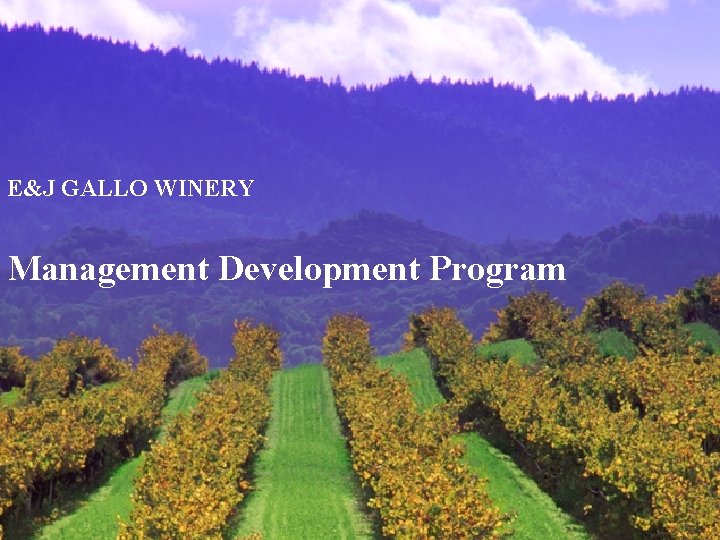 E&J GALLO WINERY Management Development Program 
