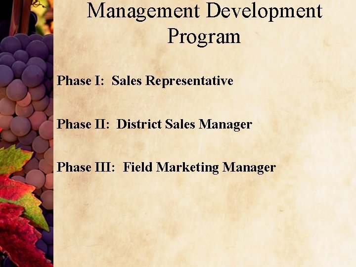 Management Development Program Phase I: Sales Representative Phase II: District Sales Manager Phase III: