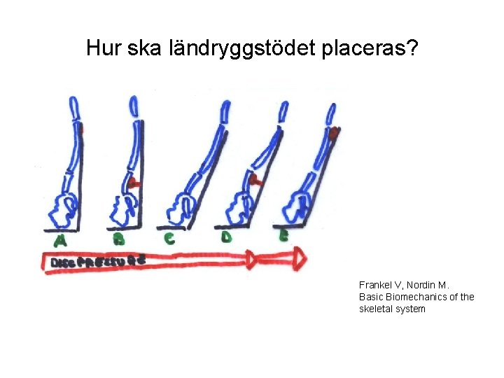 Hur ska ländryggstödet placeras? Frankel V, Nordin M. Basic Biomechanics of the skeletal system