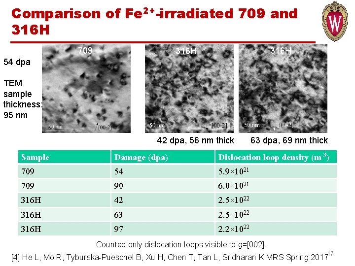 Comparison of Fe 2+-irradiated 709 and 316 H 709 316 H 54 dpa TEM