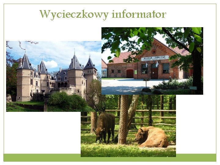 Wycieczkowy informator 