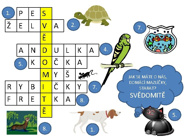 P E S Ž E L V Ě A N D 5. K O P E S Ž E L V Ě A N D 5. K O
