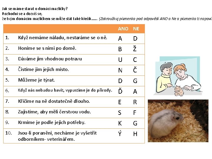 Jak se máme starat o domácí mazlíčky? Rozhodni se a dozvíš se, že tvým