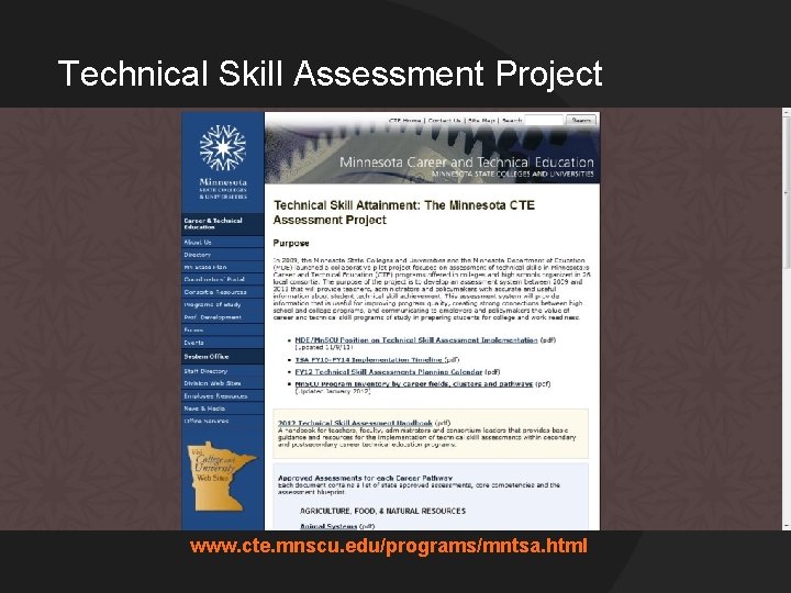 Technical Skill Assessment Project www. cte. mnscu. edu/programs/mntsa. html 