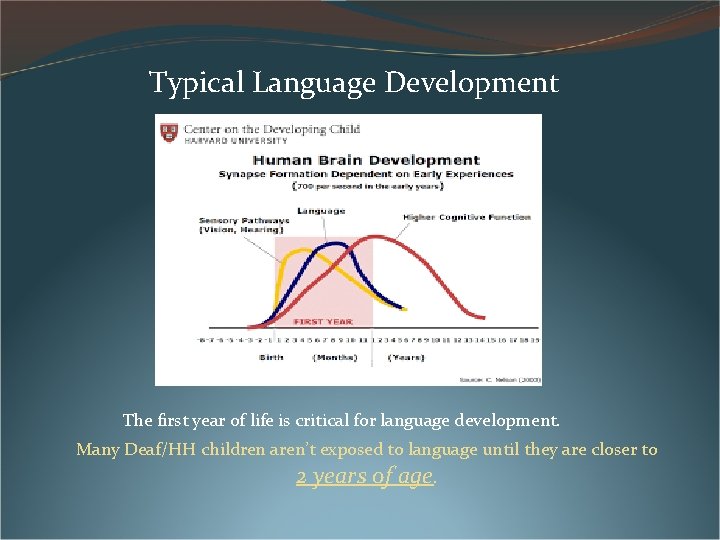 Typical Language Development The first year of life is critical for language development. Many Typical Language Development The first year of life is critical for language development. Many