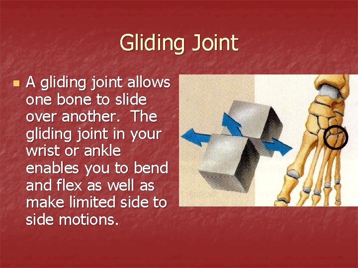 Gliding Joint n A gliding joint allows one bone to slide over another. The