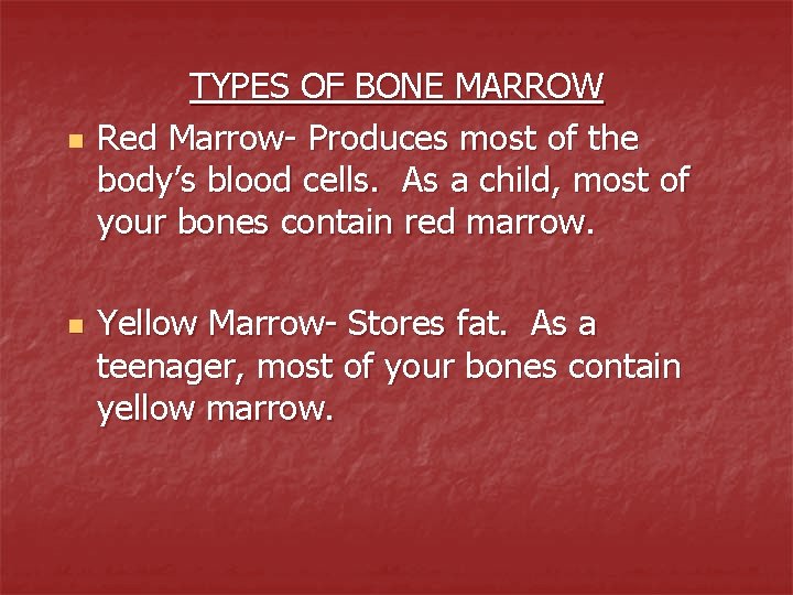 n n TYPES OF BONE MARROW Red Marrow- Produces most of the body’s blood