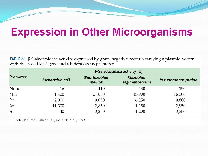 Expression in Other Microorganisms 