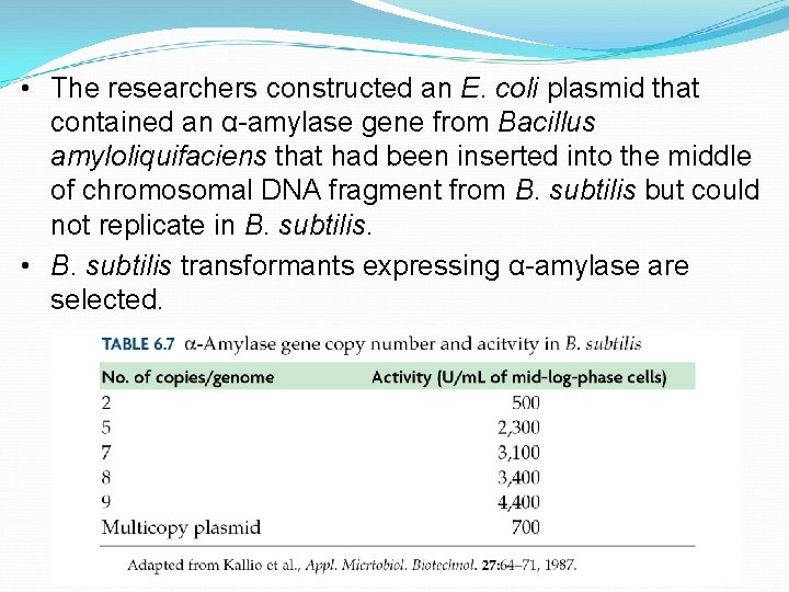  • The researchers constructed an E. coli plasmid that contained an α-amylase gene