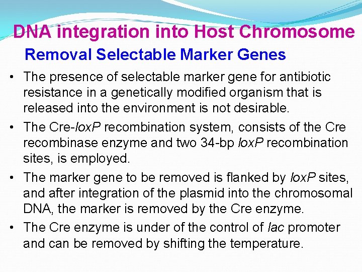DNA integration into Host Chromosome Removal Selectable Marker Genes • The presence of selectable
