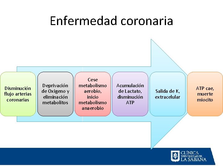 Enfermedad coronaria Disminución flujo arterias coronarias Deprivación de Oxigeno y eliminación metabolitos Cese metabolismo Enfermedad coronaria Disminución flujo arterias coronarias Deprivación de Oxigeno y eliminación metabolitos Cese metabolismo