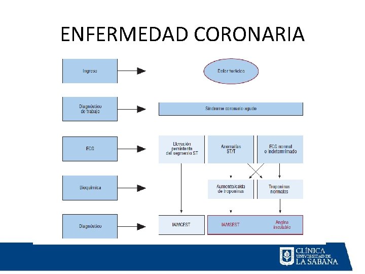 ENFERMEDAD CORONARIA ENFERMEDAD CORONARIA