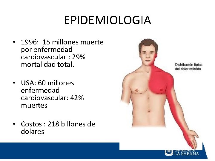 EPIDEMIOLOGIA • 1996: 15 millones muerte por enfermedad cardiovascular : 29% mortalidad total. • EPIDEMIOLOGIA • 1996: 15 millones muerte por enfermedad cardiovascular : 29% mortalidad total. •