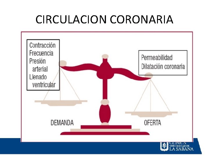CIRCULACION CORONARIA CIRCULACION CORONARIA