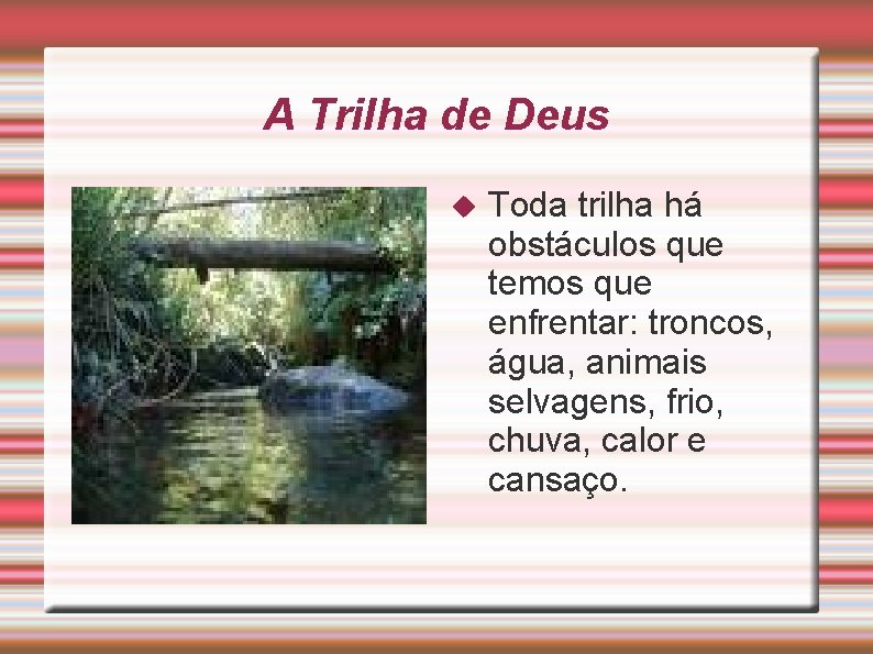 A Trilha de Deus Toda trilha há obstáculos que temos que enfrentar: troncos, água,