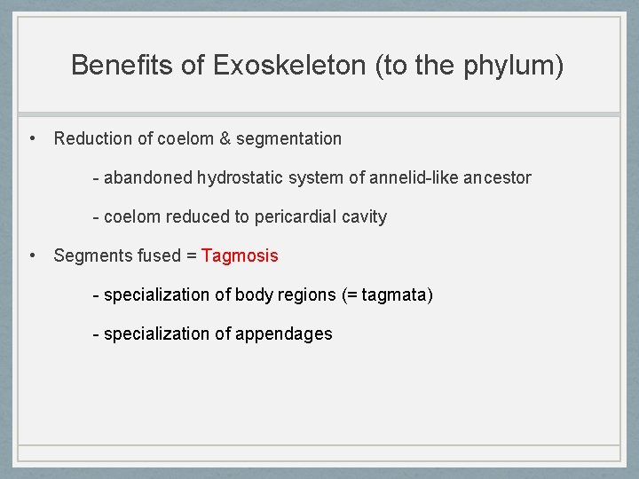 Benefits of Exoskeleton (to the phylum) • Reduction of coelom & segmentation - abandoned