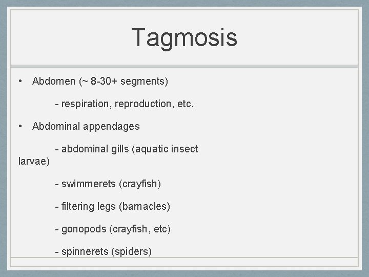 Tagmosis • Abdomen (~ 8 -30+ segments) - respiration, reproduction, etc. • Abdominal appendages