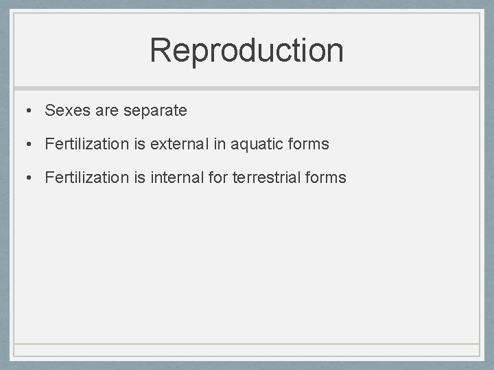 Reproduction • Sexes are separate • Fertilization is external in aquatic forms • Fertilization