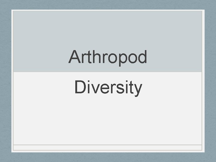 Arthropod Diversity 