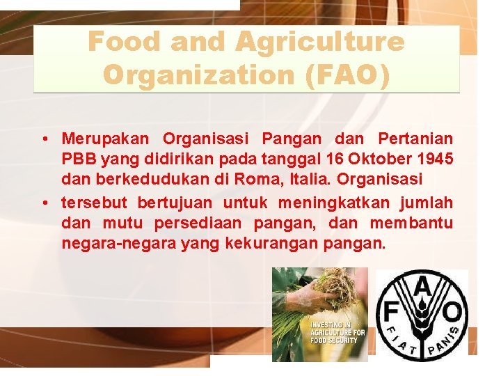 Food and Agriculture Organization (FAO) • Merupakan Organisasi Pangan dan Pertanian PBB yang didirikan