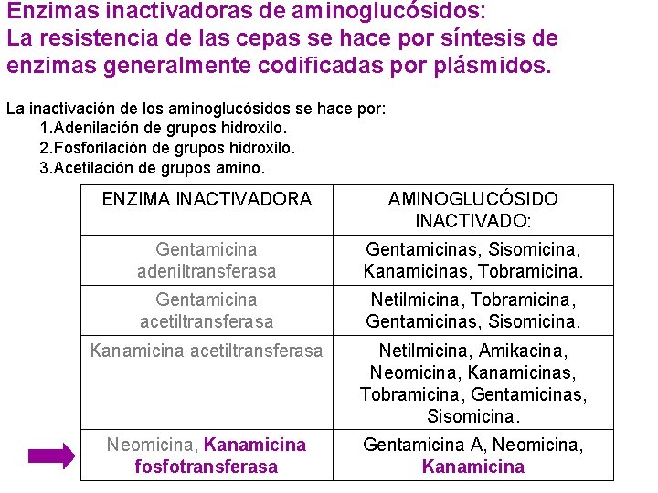 Enzimas inactivadoras de aminoglucósidos: La resistencia de las cepas se hace por síntesis de