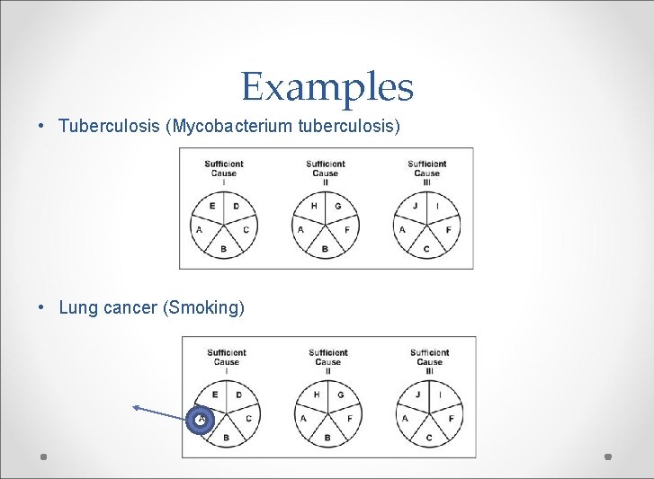 Examples • Tuberculosis (Mycobacterium tuberculosis) • Lung cancer (Smoking) 