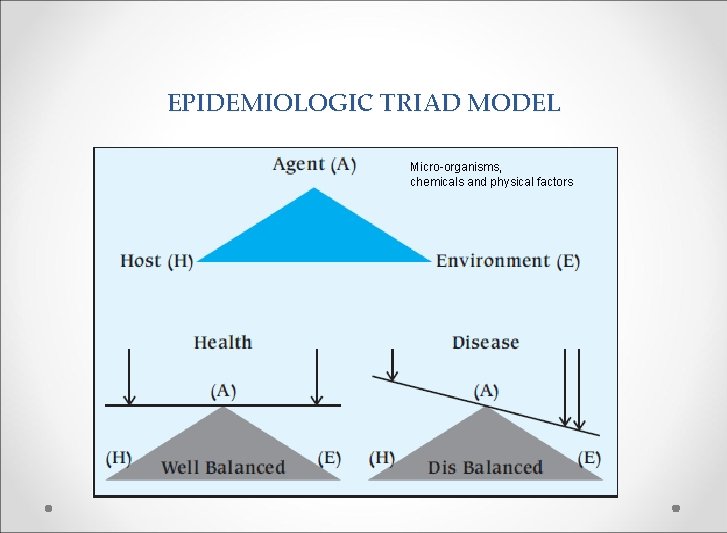 EPIDEMIOLOGIC TRIAD MODEL Micro-organisms, chemicals and physical factors 