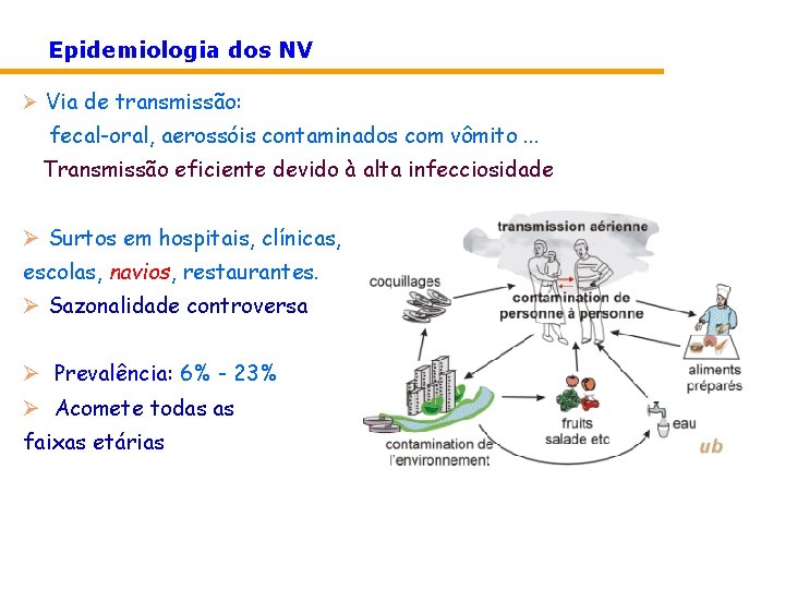 Epidemiologia dos NV Ø Via de transmissão: fecal-oral, aerossóis contaminados com vômito. . . Epidemiologia dos NV Ø Via de transmissão: fecal-oral, aerossóis contaminados com vômito. . .