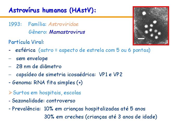 Astrovírus humanos (HAst. V): 1993: Família: Astroviridae Gênero: Mamastrovirus Partícula Viral: - esférica (astro Astrovírus humanos (HAst. V): 1993: Família: Astroviridae Gênero: Mamastrovirus Partícula Viral: - esférica (astro