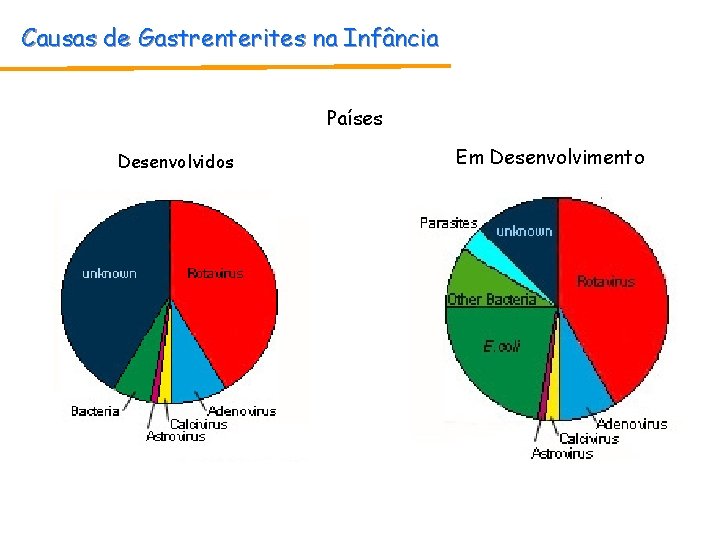 Causas de Gastrenterites na Infância Países Desenvolvidos Em Desenvolvimento Causas de Gastrenterites na Infância Países Desenvolvidos Em Desenvolvimento