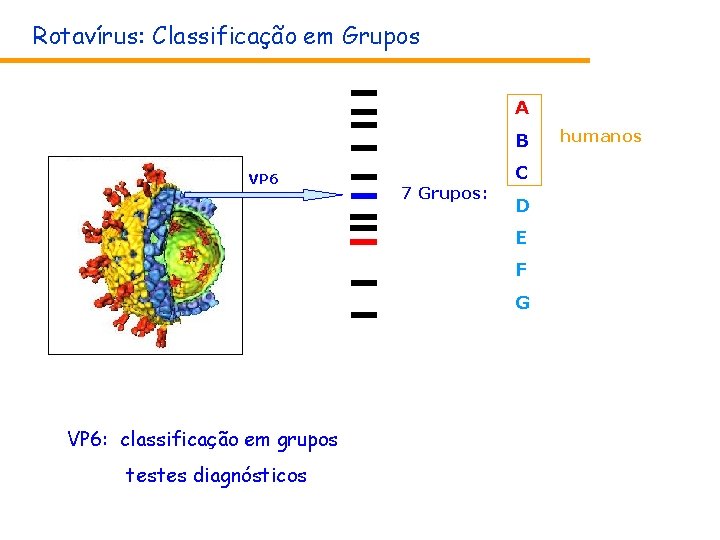 Rotavírus: Classificação em Grupos A B VP 6 7 Grupos: C D E F Rotavírus: Classificação em Grupos A B VP 6 7 Grupos: C D E F