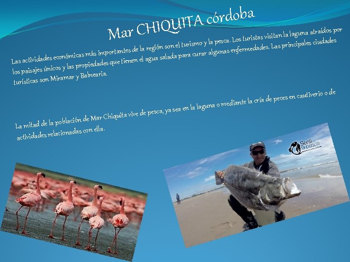 a b o d r ó c A T I U Q I H a b o d r ó c A T I U Q I H