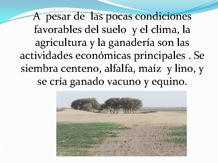 A pesar de las pocas condiciones favorables del suelo y el clima, la agricultura A pesar de las pocas condiciones favorables del suelo y el clima, la agricultura