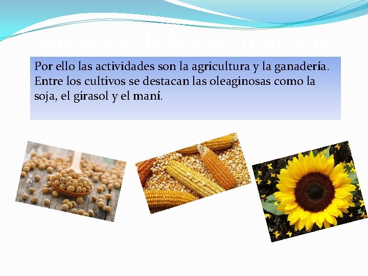Las actividades económicas Por ello las actividades son la agricultura y la ganadería. Entre Las actividades económicas Por ello las actividades son la agricultura y la ganadería. Entre