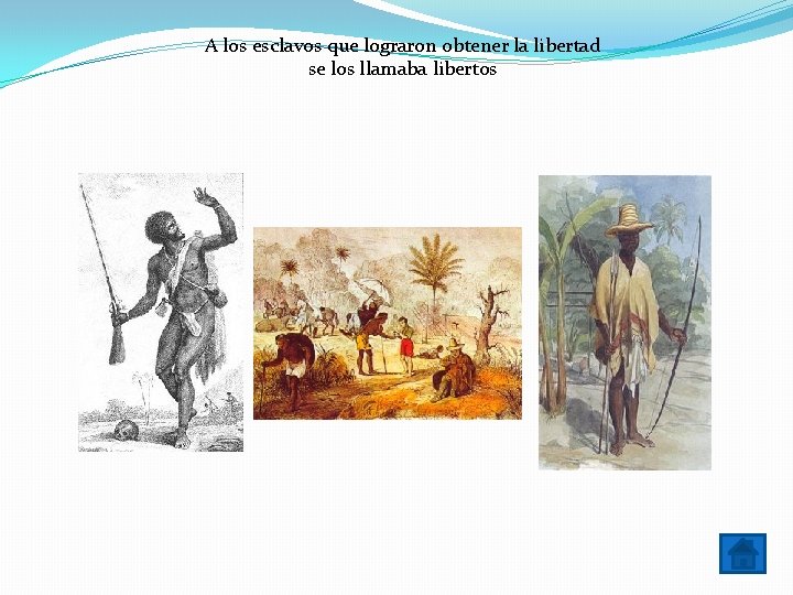 A los esclavos que lograron obtener la libertad se los llamaba libertos A los esclavos que lograron obtener la libertad se los llamaba libertos