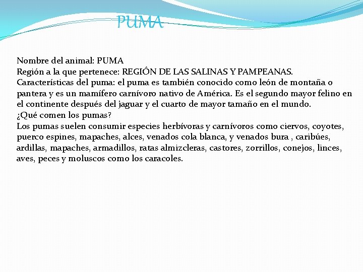 PUMA Nombre del animal: PUMA Región a la que pertenece: REGIÓN DE LAS SALINAS PUMA Nombre del animal: PUMA Región a la que pertenece: REGIÓN DE LAS SALINAS