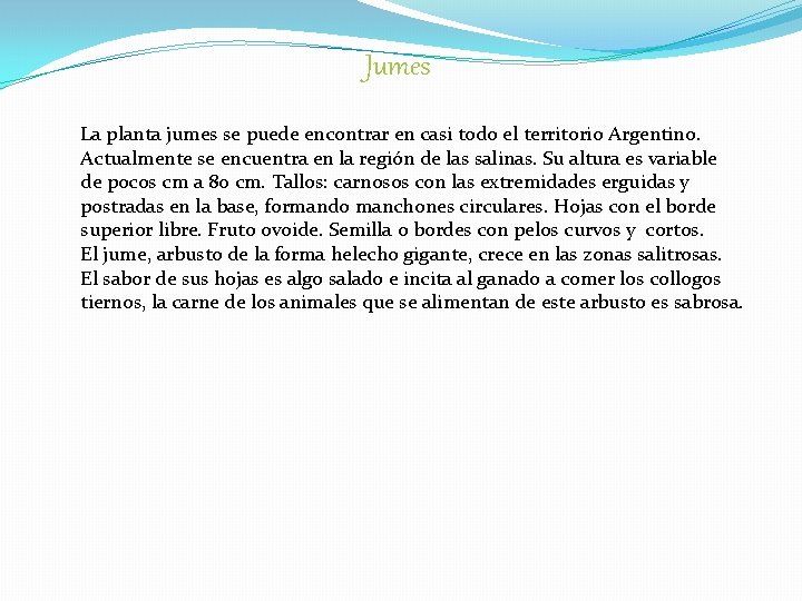 Jumes La planta jumes se puede encontrar en casi todo el territorio Argentino. Actualmente Jumes La planta jumes se puede encontrar en casi todo el territorio Argentino. Actualmente