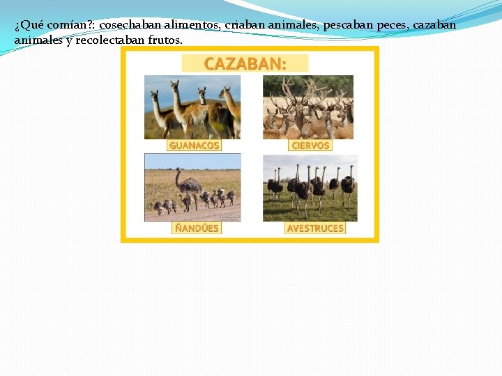 ¿Qué comían? : cosechaban alimentos, criaban animales, pescaban peces, cazaban animales y recolectaban frutos. ¿Qué comían? : cosechaban alimentos, criaban animales, pescaban peces, cazaban animales y recolectaban frutos.
