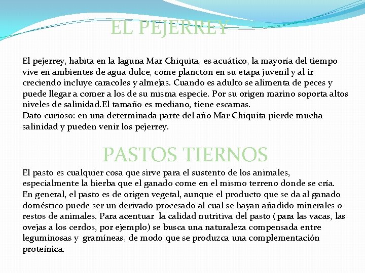 EL PEJERREY El pejerrey, habita en la laguna Mar Chiquita, es acuático, la mayoría EL PEJERREY El pejerrey, habita en la laguna Mar Chiquita, es acuático, la mayoría