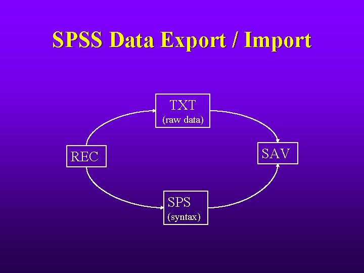 SPSS Data Export / Import TXT (raw data) SAV REC SPS (syntax) 