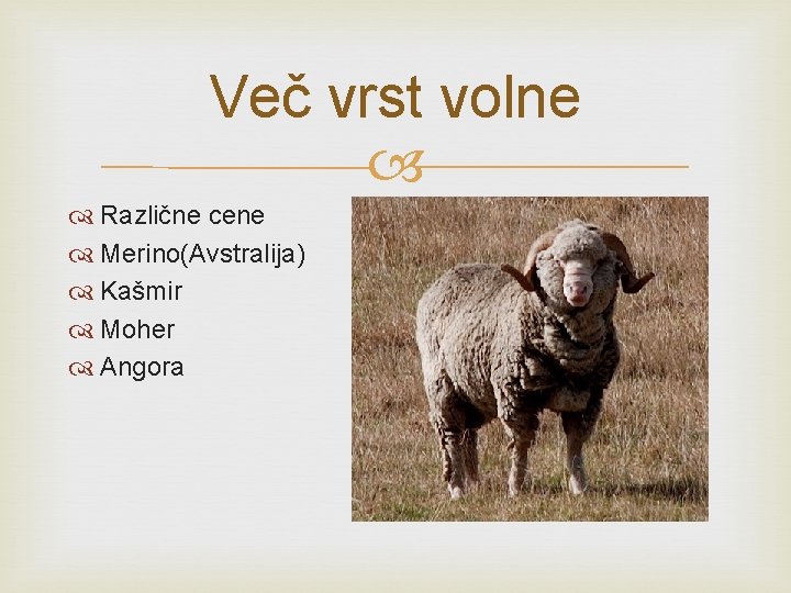 Več vrst volne Različne cene Merino(Avstralija) Kašmir Moher Angora 