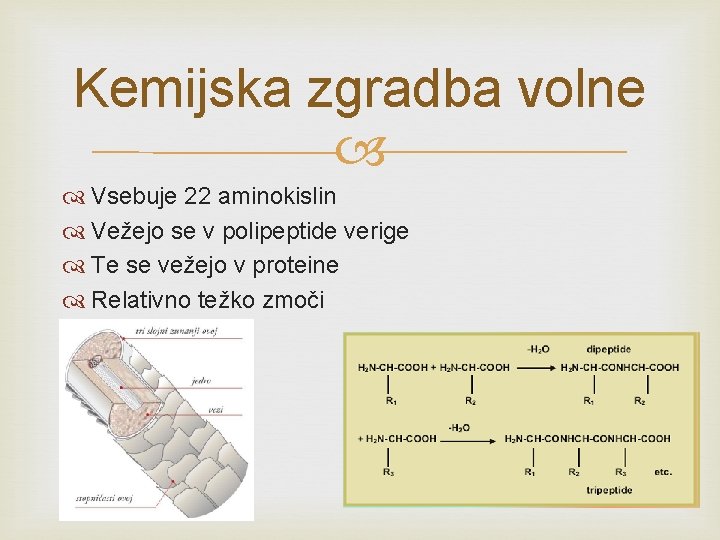 Kemijska zgradba volne Vsebuje 22 aminokislin Vežejo se v polipeptide verige Te se vežejo