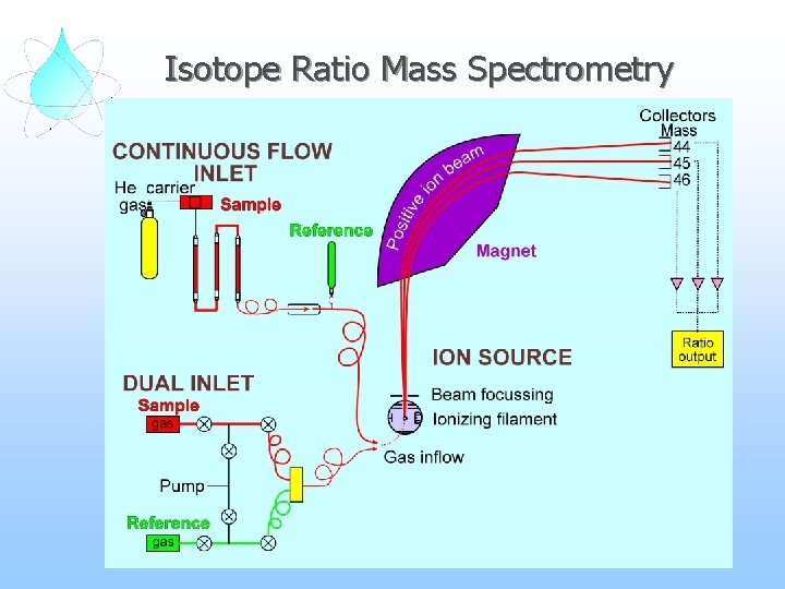 Isotope Ratio Mass Spectrometry 